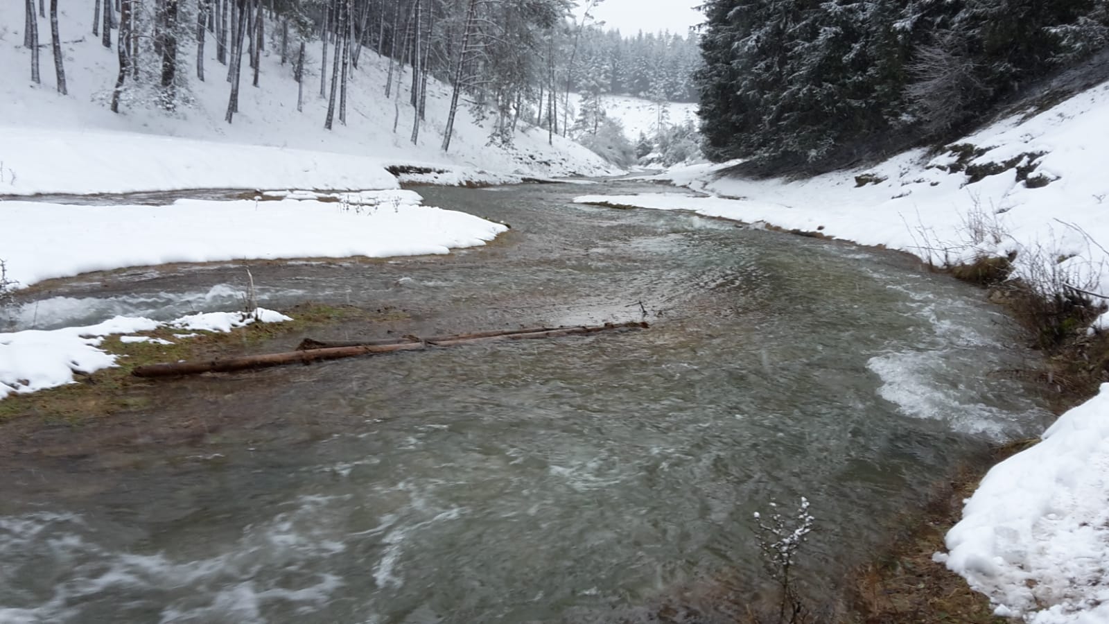 Durchqueren unmöglich: der Fluss ohne Namen ist eiskalt und führt aufgrund der großen Niederschlagsmengen sehr viel Wasser  (Bild: Mona Wagner)